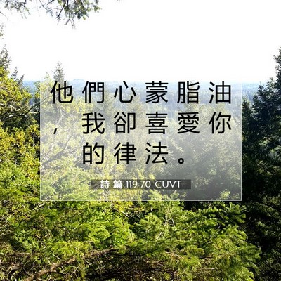 Picture 07 - 詩 篇 119:70 CUVT - 他 們 心 蒙 脂 油 ， 我 卻 喜 愛 你 - Bible Verse Picture