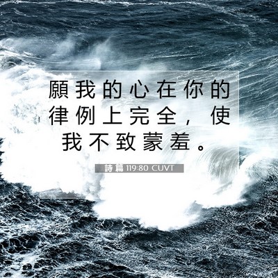 Picture 07 - 詩 篇 119:80 CUVT - 願 我 的 心 在 你 的 律 例 上 完 全 - Bible Verse Picture