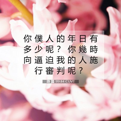 Picture 07 - 詩 篇 119:84 CUVT - 你 僕 人 的 年 日 有 多 少 呢 ？ 你 - Bible Verse Picture