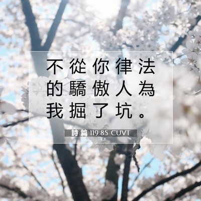 Picture 07 - 詩 篇 119:85 CUVT - 不 從 你 律 法 的 驕 傲 人 為 我 掘 - Bible Verse Picture