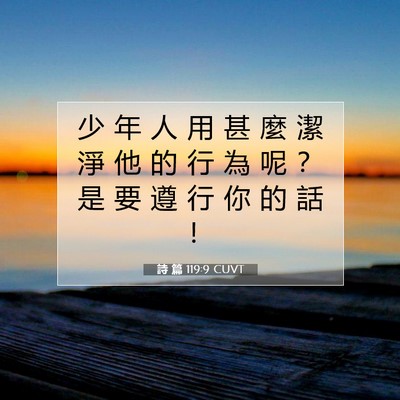 Picture 07 - 詩 篇 119:9 CUVT - 少 年 人 用 甚 麼 潔 淨 他 的 行 為 - Bible Verse Picture