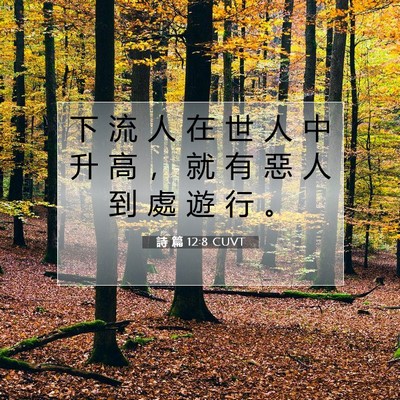 Picture 07 - 詩 篇 12:8 CUVT - 下 流 人 在 世 人 中 升 高 ， 就 有 - Bible Verse Picture