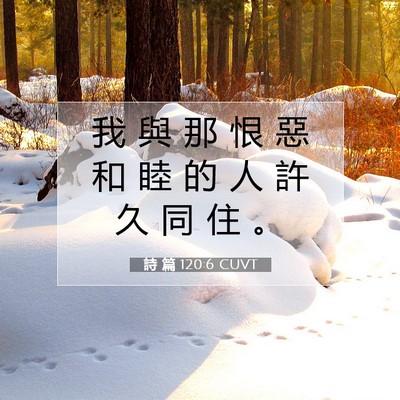 Picture 07 - 詩 篇 120:6 CUVT - 我 與 那 恨 惡 和 睦 的 人 許 久 同 - Bible Verse Picture