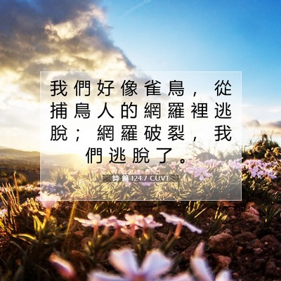 Picture 07 - 詩 篇 124:7 CUVT - 我 們 好 像 雀 鳥 ， 從 捕 鳥 人 的 - Bible Verse Picture