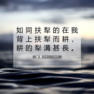 Picture 07 - 詩 篇 129:3 CUVT - 如 同 扶 犁 的 在 我 背 上 扶 犁 而 - Bible Verse Picture