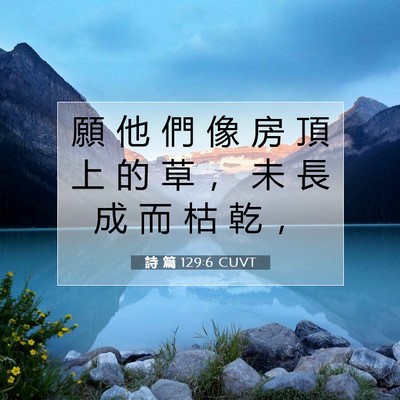 Picture 07 - 詩 篇 129:6 CUVT - 願 他 們 像 房 頂 上 的 草 ， 未 長 - Bible Verse Picture