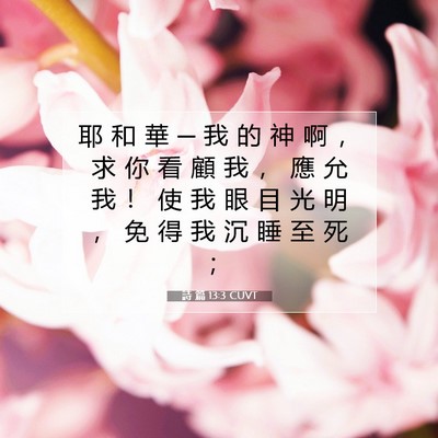 Picture 07 - 詩 篇 13:3 CUVT - 耶 和 華 ─ 我 的 神 啊 ， 求 你 看 - Bible Verse Picture