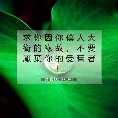Picture 07 - 詩 篇 132:10 CUVT - 求 你 因 你 僕 人 大 衛 的 緣 故 ， - Bible Verse Picture