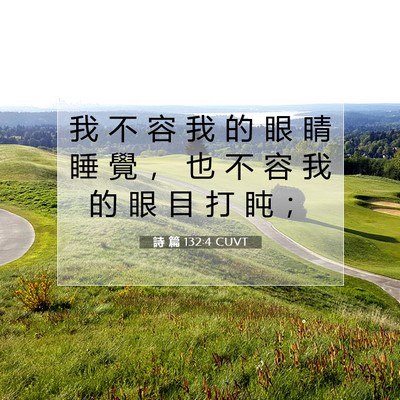 Picture 07 - 詩 篇 132:4 CUVT - 我 不 容 我 的 眼 睛 睡 覺 ， 也 不 - Bible Verse Picture