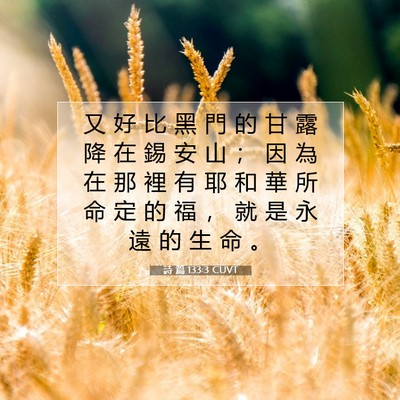 Picture 07 - 詩 篇 133:3 CUVT - 又 好 比 黑 門 的 甘 露 降 在 錫 安 - Bible Verse Picture