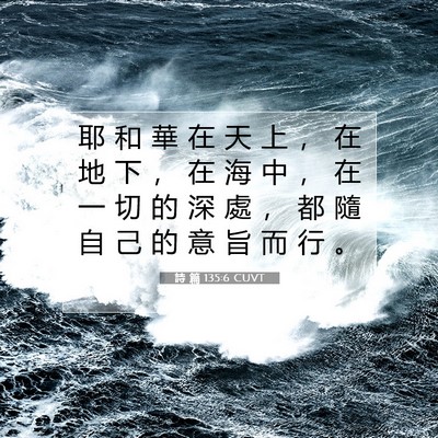 Picture 07 - 詩 篇 135:6 CUVT - 耶 和 華 在 天 上 ， 在 地 下 ， 在 - Bible Verse Picture