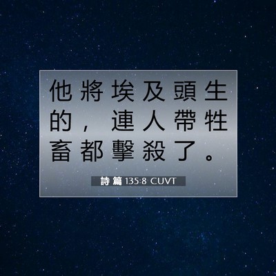 Picture 07 - 詩 篇 135:8 CUVT - 他 將 埃 及 頭 生 的 ， 連 人 帶 牲 - Bible Verse Picture