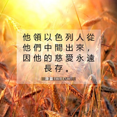 Picture 07 - 詩 篇 136:11 CUVT - 他 領 以 色 列 人 從 他 們 中 間 出 - Bible Verse Picture