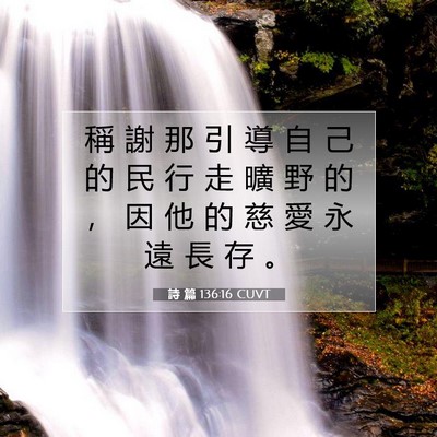 Picture 07 - 詩 篇 136:16 CUVT - 稱 謝 那 引 導 自 己 的 民 行 走 曠 - Bible Verse Picture