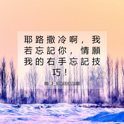Picture 07 - 詩 篇 137:5 CUVT - 耶 路 撒 冷 啊 ， 我 若 忘 記 你 ， - Bible Verse Picture