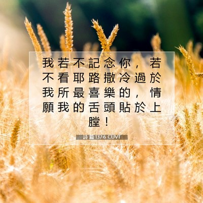 Picture 07 - 詩 篇 137:6 CUVT - 我 若 不 記 念 你 ， 若 不 看 耶 路 - Bible Verse Picture