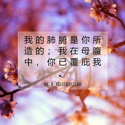 Picture 07 - 詩 篇 139:13 CUVT - 我 的 肺 腑 是 你 所 造 的 ； 我 在 - Bible Verse Picture
