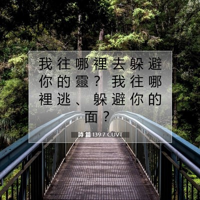 Picture 07 - 詩 篇 139:7 CUVT - 我 往 哪 裡 去 躲 避 你 的 靈 ？ 我 - Bible Verse Picture
