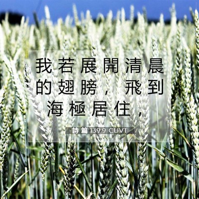 Picture 07 - 詩 篇 139:9 CUVT - 我 若 展 開 清 晨 的 翅 膀 ， 飛 到 - Bible Verse Picture