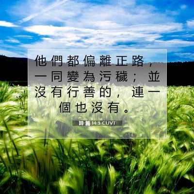 Picture 07 - 詩 篇 14:3 CUVT - 他 們 都 偏 離 正 路 ， 一 同 變 為 - Bible Verse Picture