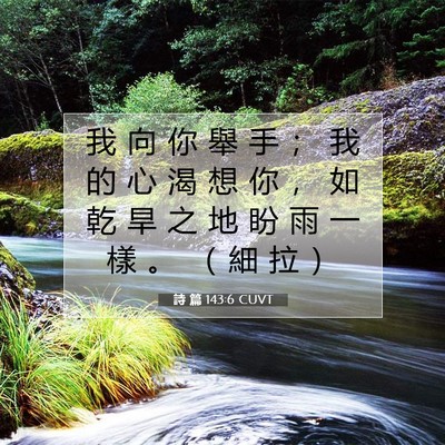 Picture 07 - 詩 篇 143:6 CUVT - 我 向 你 舉 手 ； 我 的 心 渴 想 你 - Bible Verse Picture