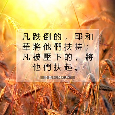 Picture 07 - 詩 篇 145:14 CUVT - 凡 跌 倒 的 ， 耶 和 華 將 他 們 扶 - Bible Verse Picture