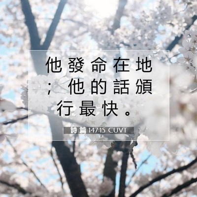 Picture 07 - 詩 篇 147:15 CUVT - 他 發 命 在 地 ； 他 的 話 頒 行 最 - Bible Verse Picture