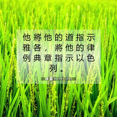 Picture 07 - 詩 篇 147:19 CUVT - 他 將 他 的 道 指 示 雅 各 ， 將 他 - Bible Verse Picture