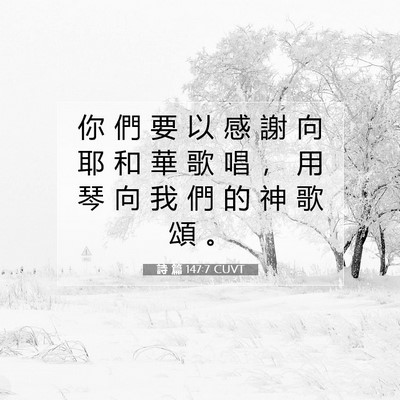 Picture 07 - 詩 篇 147:7 CUVT - 你 們 要 以 感 謝 向 耶 和 華 歌 唱 - Bible Verse Picture