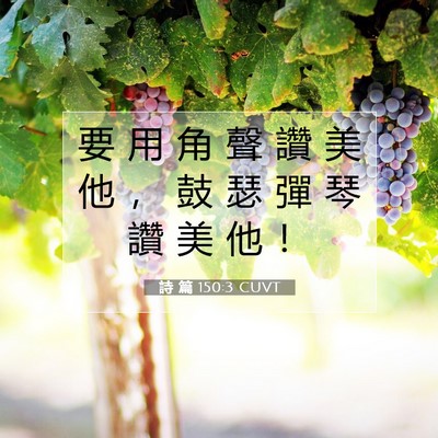 Picture 07 - 詩 篇 150:3 CUVT - 要 用 角 聲 讚 美 他 ， 鼓 瑟 彈 琴 - Bible Verse Picture