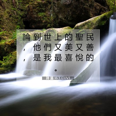 Picture 07 - 詩 篇 16:3 CUVT - 論 到 世 上 的 聖 民 ， 他 們 又 美 - Bible Verse Picture