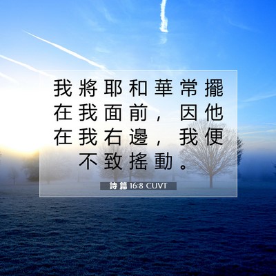 Picture 07 - 詩 篇 16:8 CUVT - 我 將 耶 和 華 常 擺 在 我 面 前 ， - Bible Verse Picture