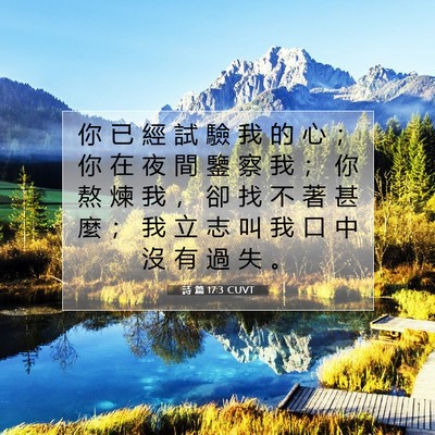 Picture 07 - 詩 篇 17:3 CUVT - 你 已 經 試 驗 我 的 心 ； 你 在 夜 - Bible Verse Picture