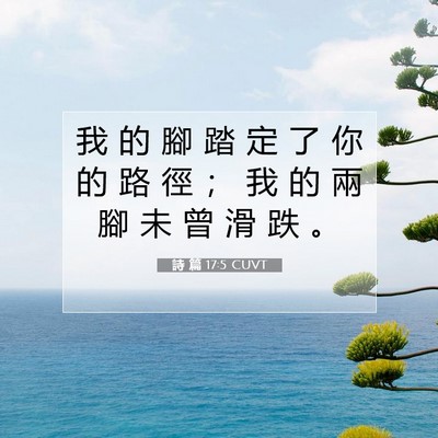 Picture 07 - 詩 篇 17:5 CUVT - 我 的 腳 踏 定 了 你 的 路 徑 ； 我 - Bible Verse Picture