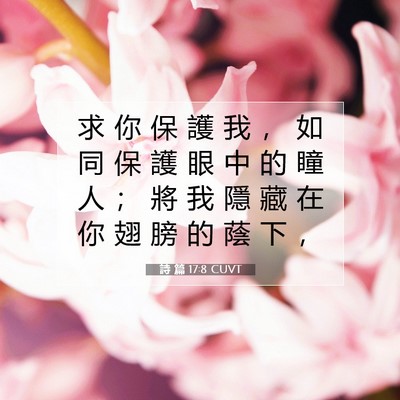 Picture 07 - 詩 篇 17:8 CUVT - 求 你 保 護 我 ， 如 同 保 護 眼 中 - Bible Verse Picture