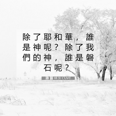 Picture 07 - 詩 篇 18:31 CUVT - 除 了 耶 和 華 ， 誰 是 神 呢 ？ 除 - Bible Verse Picture