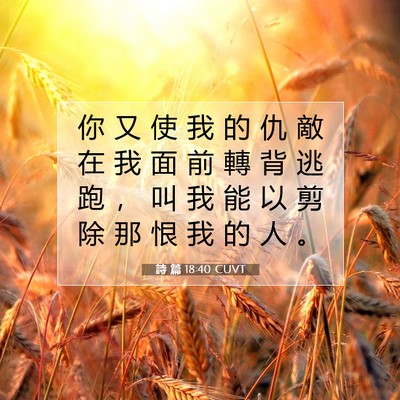 Picture 07 - 詩 篇 18:40 CUVT - 你 又 使 我 的 仇 敵 在 我 面 前 轉 - Bible Verse Picture