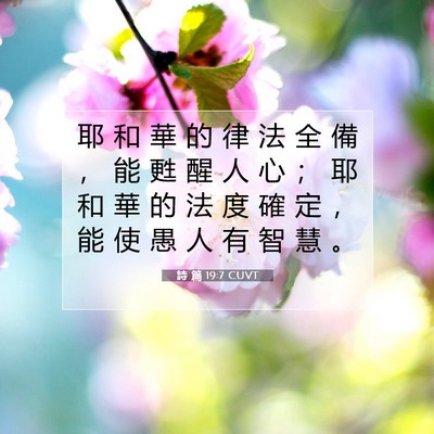 Picture 07 - 詩 篇 19:7 CUVT - 耶 和 華 的 律 法 全 備 ， 能 甦 醒 - Bible Verse Picture