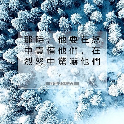 Picture 07 - 詩 篇 2:5 CUVT - 那 時 ， 他 要 在 怒 中 責 備 他 們 - Bible Verse Picture