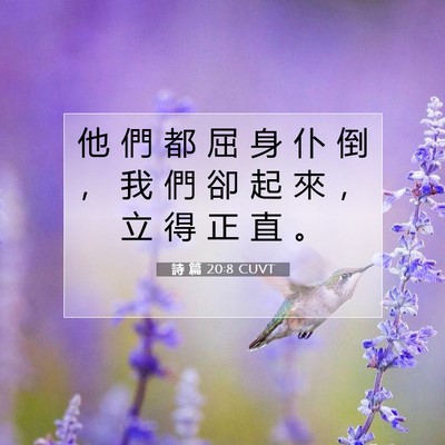 Picture 07 - 詩 篇 20:8 CUVT - 他 們 都 屈 身 仆 倒 ， 我 們 卻 起 - Bible Verse Picture