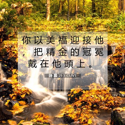 Picture 07 - 詩 篇 21:3 CUVT - 你 以 美 福 迎 接 他 ， 把 精 金 的 - Bible Verse Picture