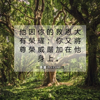 Picture 07 - 詩 篇 21:5 CUVT - 他 因 你 的 救 恩 大 有 榮 耀 ； 你 - Bible Verse Picture