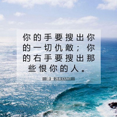 Picture 07 - 詩 篇 21:8 CUVT - 你 的 手 要 搜 出 你 的 一 切 仇 敵 - Bible Verse Picture