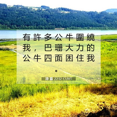Picture 07 - 詩 篇 22:12 CUVT - 有 許 多 公 牛 圍 繞 我 ， 巴 珊 大 - Bible Verse Picture