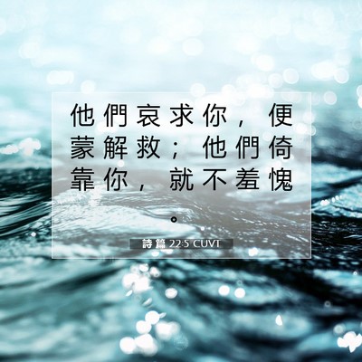 Picture 07 - 詩 篇 22:5 CUVT - 他 們 哀 求 你 ， 便 蒙 解 救 ； 他 - Bible Verse Picture