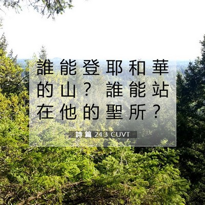 Picture 07 - 詩 篇 24:3 CUVT - 誰 能 登 耶 和 華 的 山 ？ 誰 能 站 - Bible Verse Picture