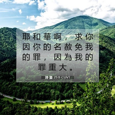 Picture 07 - 詩 篇 25:11 CUVT - 耶 和 華 啊 ， 求 你 因 你 的 名 赦 - Bible Verse Picture