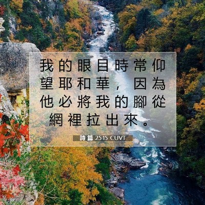 Picture 07 - 詩 篇 25:15 CUVT - 我 的 眼 目 時 常 仰 望 耶 和 華 ， - Bible Verse Picture