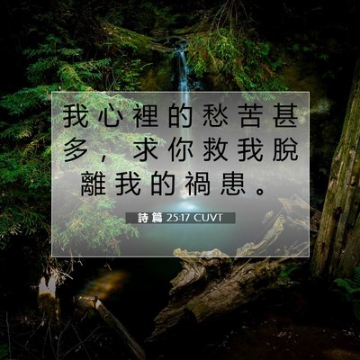 Picture 07 - 詩 篇 25:17 CUVT - 我 心 裡 的 愁 苦 甚 多 ， 求 你 救 - Bible Verse Picture