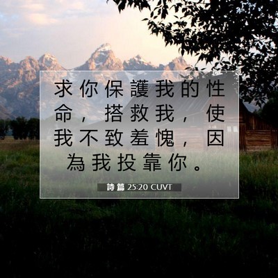 Picture 07 - 詩 篇 25:20 CUVT - 求 你 保 護 我 的 性 命 ， 搭 救 我 - Bible Verse Picture